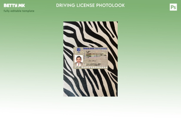 Модерен стил на предниот шаблон за фото изглед на возачка дозвола Андора